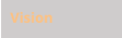 Vision