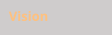 Vision