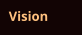 Vision