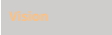Vision