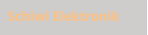 Schiwi Elektronik